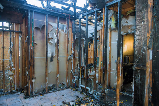 Professional Fire Damage Assessment technician working in Jamesburg, NJ